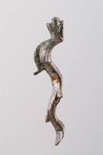 Gewellter Delphin mit Frucht im Maul