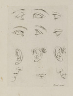 Sechs Augen-, drei Ohren- und drei Mundstudien