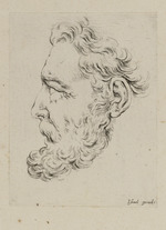 Kopf eines bärtigen Mannes im Profil nach links