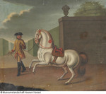 Mann, einen Schimmel vorführend