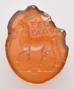 Rennpferd mit Palmzweig im Maul