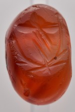 Blume, dreiblättrig