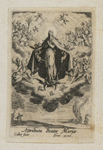 Die Verherrlichung Marias